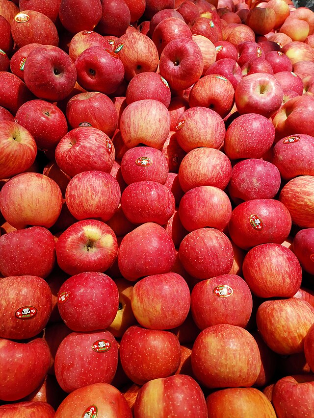 Apple "Fuji" fruit