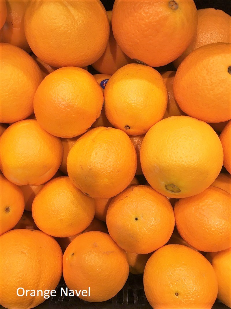 Orange ‘Parent Navel’ (Citrus sinensis) fruit